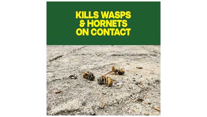 Raid Wasp & Hornet Killer Bug Spray, Kills Entire Nest, 14 oz, 2 Count thumbnail 2