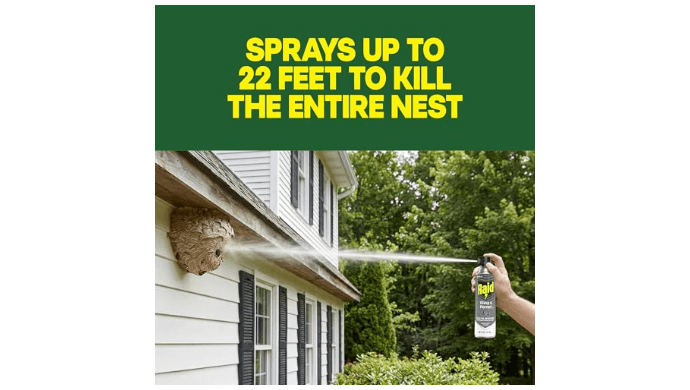 Raid Wasp & Hornet Killer Bug Spray, Kills Entire Nest, 14 oz, 2 Count thumbnail 3