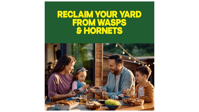Raid Wasp & Hornet Killer Bug Spray, Kills Entire Nest, 14 oz, 2 Count thumbnail 4