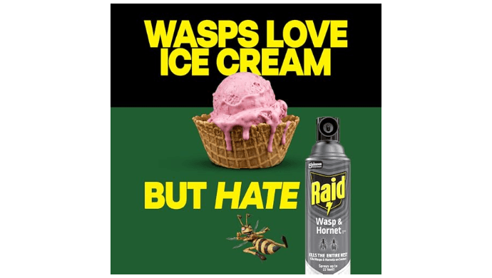 Raid Wasp & Hornet Killer Bug Spray, Kills Entire Nest, 14 oz, 2 Count thumbnail 5