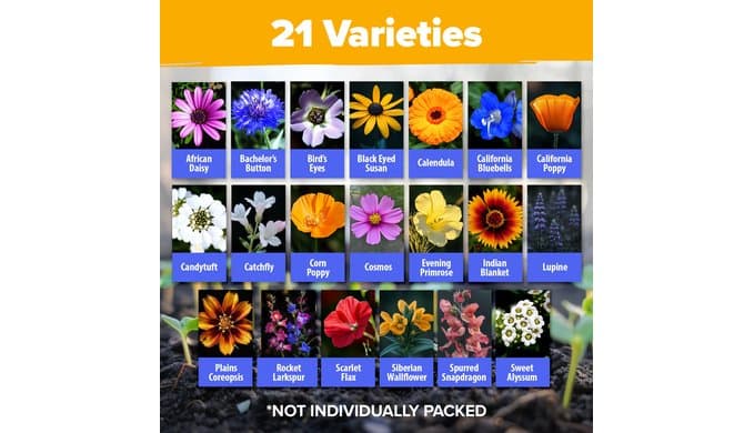 HOME GROWN Wildflower Seeds Bulk Mix | 110,600+ Non-GMO Annual Flower Seed for Planting | 21 Varieties for Butterfly & Pollinator Garden | 3 oz thumbnail 2