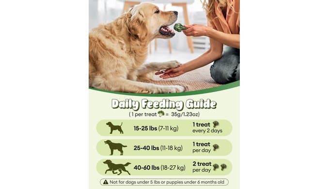 Dog Dental Chews for Fresh Breath & Clean Teeth,12oz,10 Count thumbnail 5