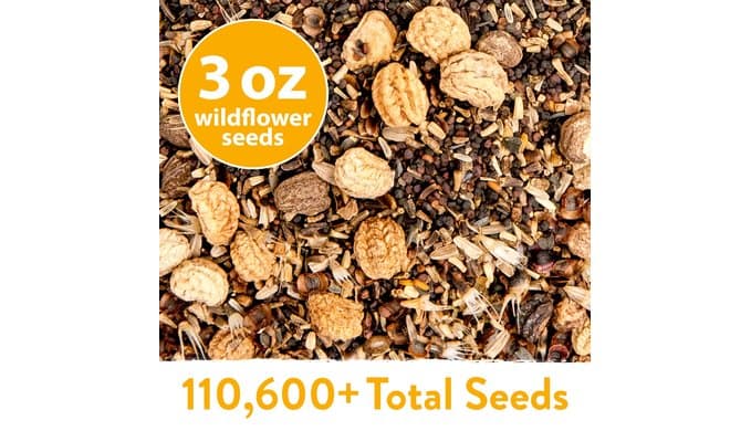 HOME GROWN Wildflower Seeds Bulk Mix | 110,600+ Non-GMO Annual Flower Seed for Planting | 21 Varieties for Butterfly & Pollinator Garden | 3 oz thumbnail 5