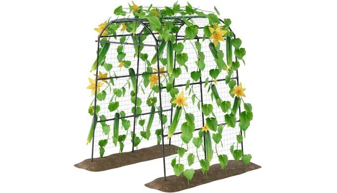 Miory Garden Arch Trellis for Climbing Plants Outdoor, 7ft Tall Plants Support Trellis for Climbing Vine Tomato Vegetable Flower Fruit, Cucumber Trellis for Raised Bed (71 x 83 Inch) thumbnail 1