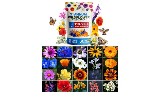 HOME GROWN Wildflower Seeds Bulk Mix | 110,600+ Non-GMO Annual Flower Seed for Planting | 21 Varieties for Butterfly & Pollinator Garden | 3 oz thumbnail 1