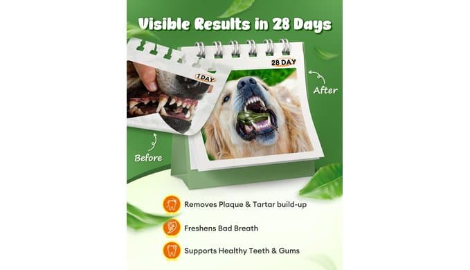 Dog Dental Chews for Fresh Breath & Clean Teeth,12oz,10 Count thumbnail 3