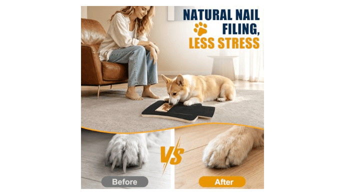Vivifying Dog Nail Scratch Board with Treat Box, Dog Nail Filing Tool thumbnail 3
