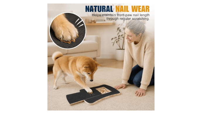 Vivifying Dog Nail Scratch Board with Treat Box, Dog Nail Filing Tool thumbnail 6