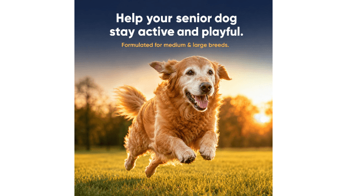 Liquid Hip & Joint Supplement for Senior Dogs 16 fl oz with Dropper thumbnail 5
