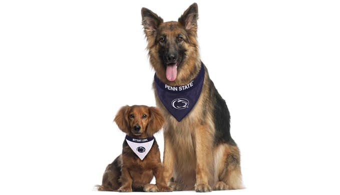 Pets First Collegiate Pet Accessories, Reversible Bandana, Penn State Nittany Lions, Small/Medium thumbnail 5