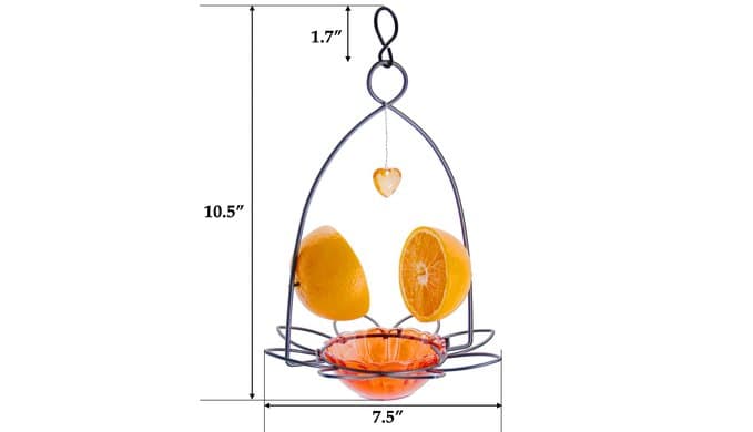 FORUP Oriole Bird Feeder, Orange Fruit Oriole Feeder thumbnail 3