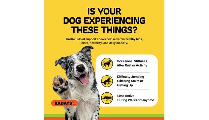 Dog Joint Supplement for Dogs 70ct, Glucosamine Chondroitin for All Dogs thumbnail 2