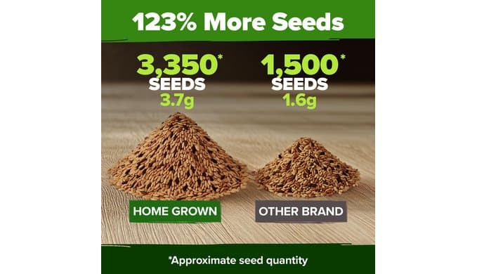 HOME GROWN Rainbow Carrot Seeds 10 Variety Mix 3350+ Heirloom Non-GMO Seeds for Planting, High Germination, Multi-Color Gourmet Root Vegetables, Kids Garden, Crunchy Fresh Eating (Daucus carota) thumbnail 4