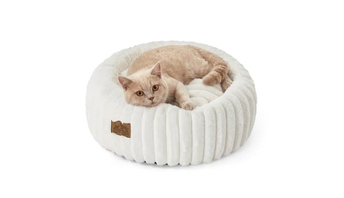 COZY KISS Donut Small Cat Bed for Indoor Cat, Kitten Bed Calming 20in Cream thumbnail 1