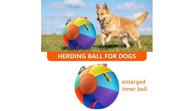 Herding Ball for Australian Shepherd - 22" Dog Toy Ball for Chase & Herd thumbnail 2