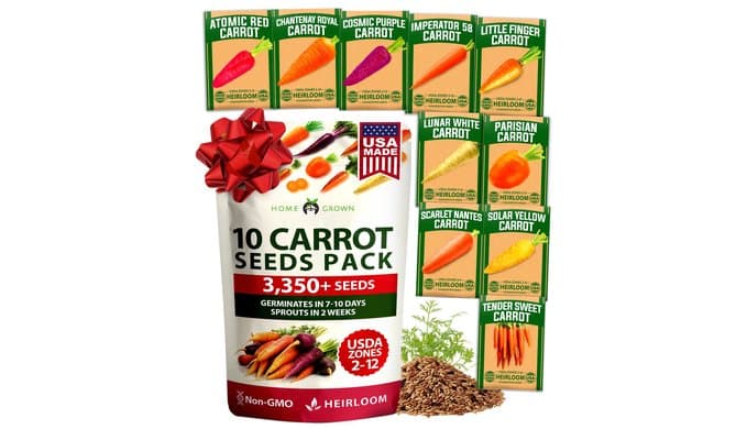 HOME GROWN Rainbow Carrot Seeds 10 Variety Mix 3350+ Heirloom Non-GMO Seeds for Planting, High Germination, Multi-Color Gourmet Root Vegetables, Kids Garden, Crunchy Fresh Eating (Daucus carota) thumbnail 1