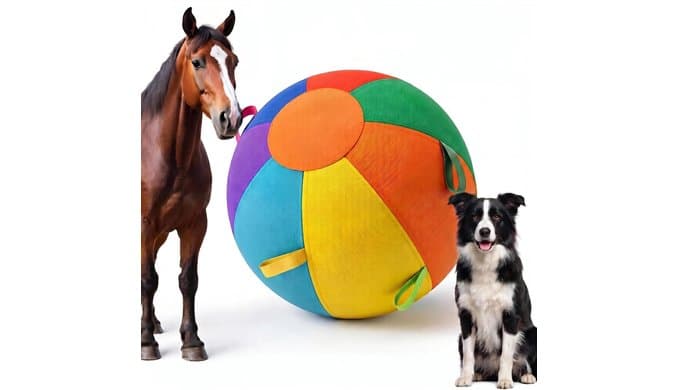 Herding Ball for Australian Shepherd - 22" Dog Toy Ball for Chase & Herd thumbnail 1