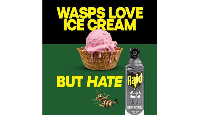 Raid Wasp & Hornet Killer Bug Spray, Kills Entire Nest, 14 oz, 2 Count thumbnail 5
