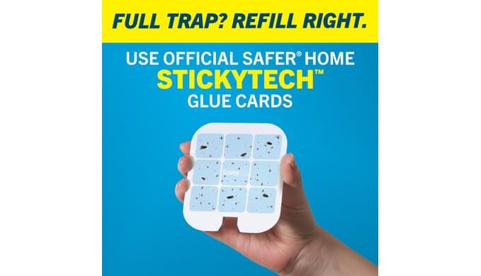 Safer Home Flying Insect Trap, Plug-in Fruit Fly Trap for Indoors, 2-Pack thumbnail 3