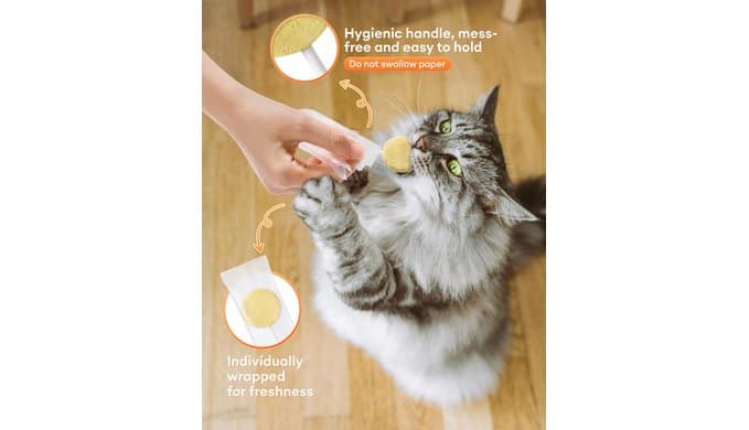 50 Pack Freeze Dried Lollipop Cat Treats (5 Flavors) thumbnail 5