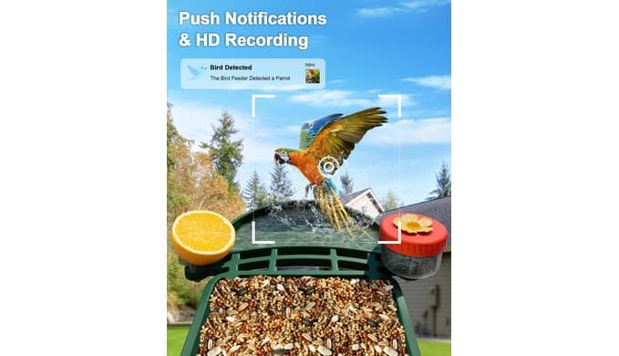 2-in-1 Smart Wild Bird Feeder & Bath with 4K HD Camera, AI Identification Solar Bird Feeder Watching Camera Night Vision for Outdoor Birds Watching Gifts for Birdlover, Red & Green thumbnail 4