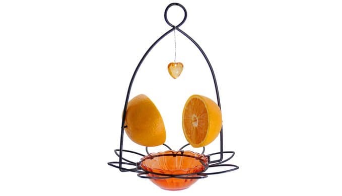 FORUP Oriole Bird Feeder, Orange Fruit Oriole Feeder thumbnail 1