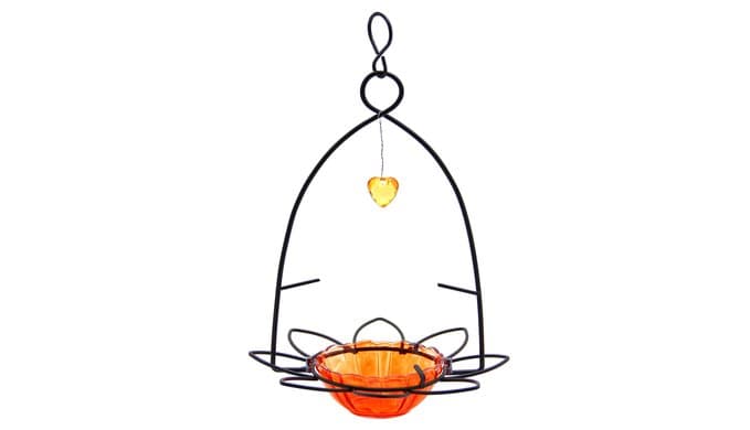 FORUP Oriole Bird Feeder, Orange Fruit Oriole Feeder thumbnail 5