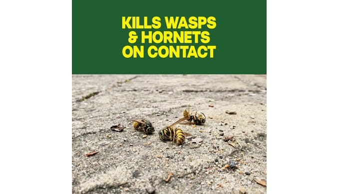 Raid Wasp & Hornet Killer Bug Spray, Kills Entire Nest, 14 oz, 2 Count thumbnail 2