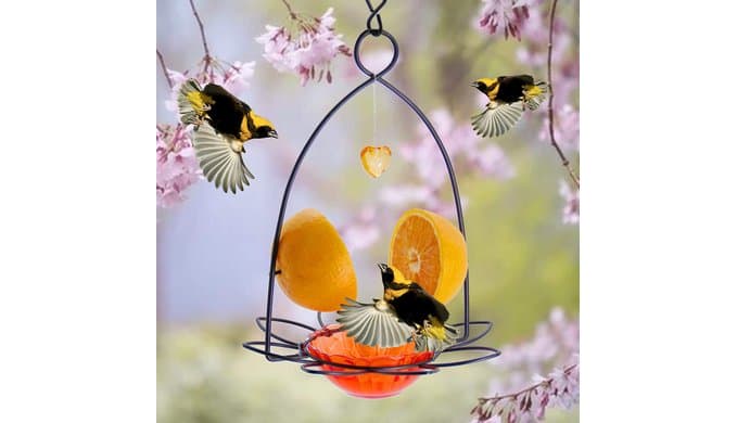 FORUP Oriole Bird Feeder, Orange Fruit Oriole Feeder thumbnail 2