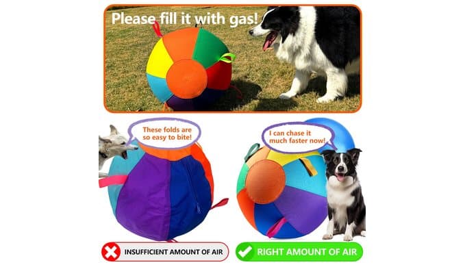 Herding Ball for Australian Shepherd - 22" Dog Toy Ball for Chase & Herd thumbnail 5