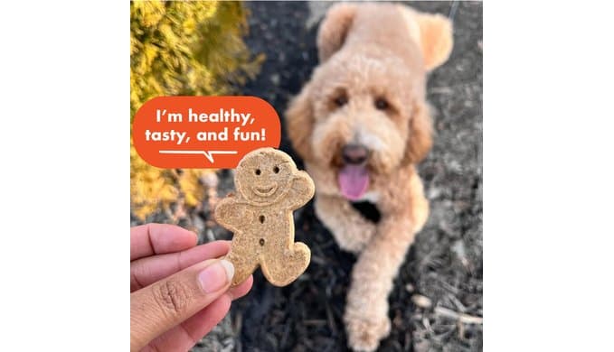 Buddy Biscuits Crunchy Dog Treats, Peanut Butter, 3.5 lbs. Bag thumbnail 4