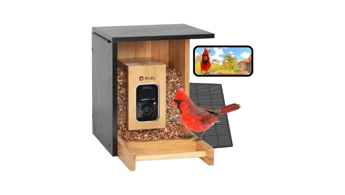 Birdfy Smart Bird Feeder with Camera, High-End Bamboo, Mini in Size, Solar Powered, Auto Capture Birds & Notify in Time, Powerful AI Recognition, Ideal Gift Present thumbnail 1