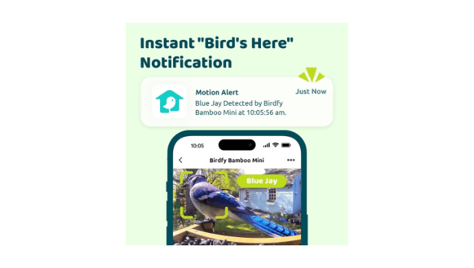 Birdfy Smart Bird Feeder with Camera, High-End Bamboo, Mini in Size, Solar Powered, Auto Capture Birds & Notify in Time, Powerful AI Recognition, Ideal Gift Present thumbnail 2