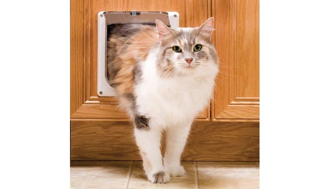 PetSafe Interior Cat Door, 2-Way Lock, White, Cats up to 15 lb thumbnail 2