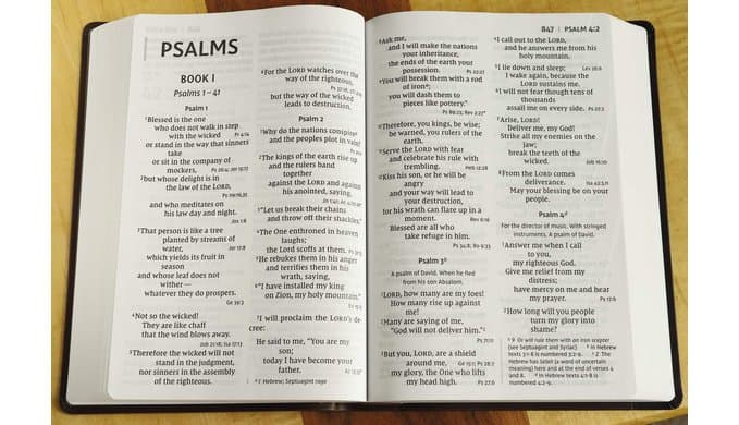 NIV, Super Giant Print Reference Bible (Font Size: 16.5-point), Leathersoft, Brown, Red Letter, Comfort Print thumbnail 5