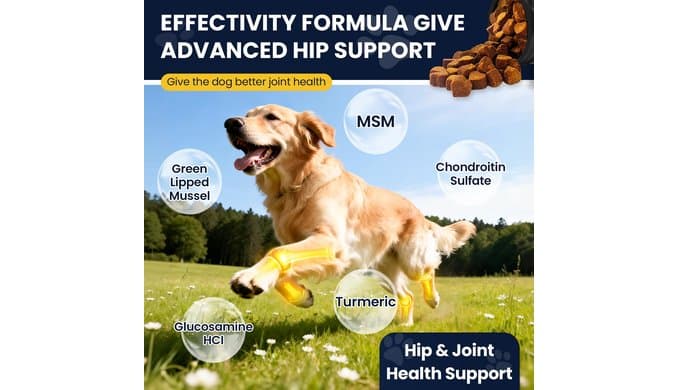 Hip and Joint Supplement for Dogs with Probiotics Glucosamine for Dog thumbnail 5