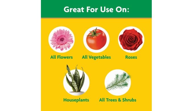 Miracle-Gro Water Soluble All Purpose Plant Food, 3 lb. thumbnail 4