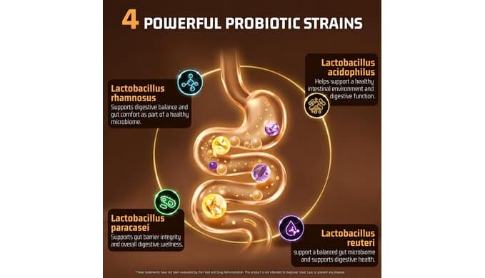 15-in-1 Mushroom Coffee with 10B Probiotics and Ashwagandha for Gut Health thumbnail 4