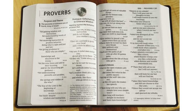 NIV, Super Giant Print Reference Bible (Font Size: 16.5-point), Leathersoft, Brown, Red Letter, Comfort Print thumbnail 4
