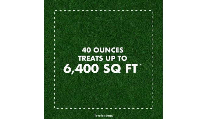 Spectracide Triazicide Insect Killer for Lawns & Landscapes, 40 Oz thumbnail 5