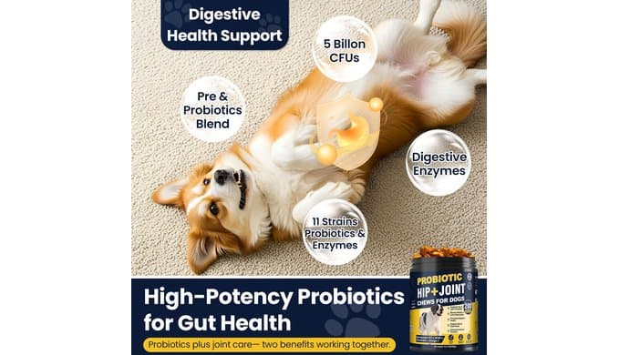 Hip and Joint Supplement for Dogs with Probiotics Glucosamine for Dog thumbnail 4