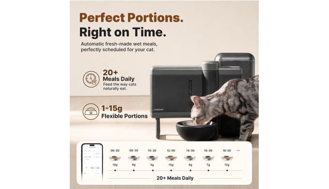 Neakasa Riko Automatic Wet Food Cat Feeder for Freeze-Dried Cat Food, Grey thumbnail 4