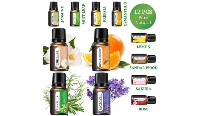 Essential Oils Set, 12 Scents, 10 ML Bottles, Lavender, Lemon, Rose, Jasmine, Vanilla, Sandalwood and More, for Humidifiers, Diffusers, Aromatherapy thumbnail 5
