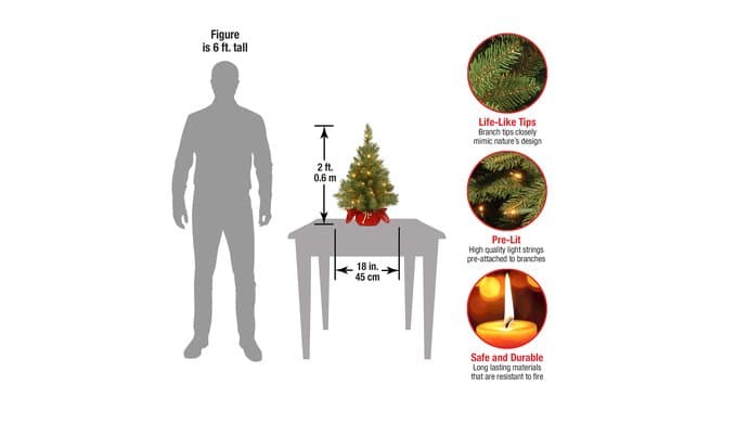 National Tree Company 24in Pre-Lit Majestic Fir Mini Christmas Tree thumbnail 3